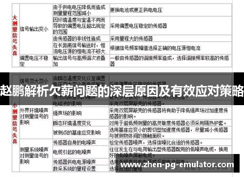 赵鹏解析欠薪问题的深层原因及有效应对策略 赵鹏解析欠薪问题的深层原因及有效应对策略