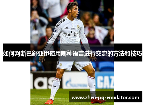 如何判断巴舒亚伊使用哪种语言进行交流的方法和技巧