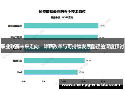 职业联赛未来走向：降薪改革与可持续发展路径的深度探讨