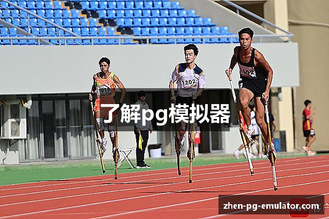 了解pg模拟器